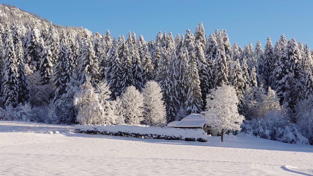 Blick von der Ostterrasse (© Susanne Martin)