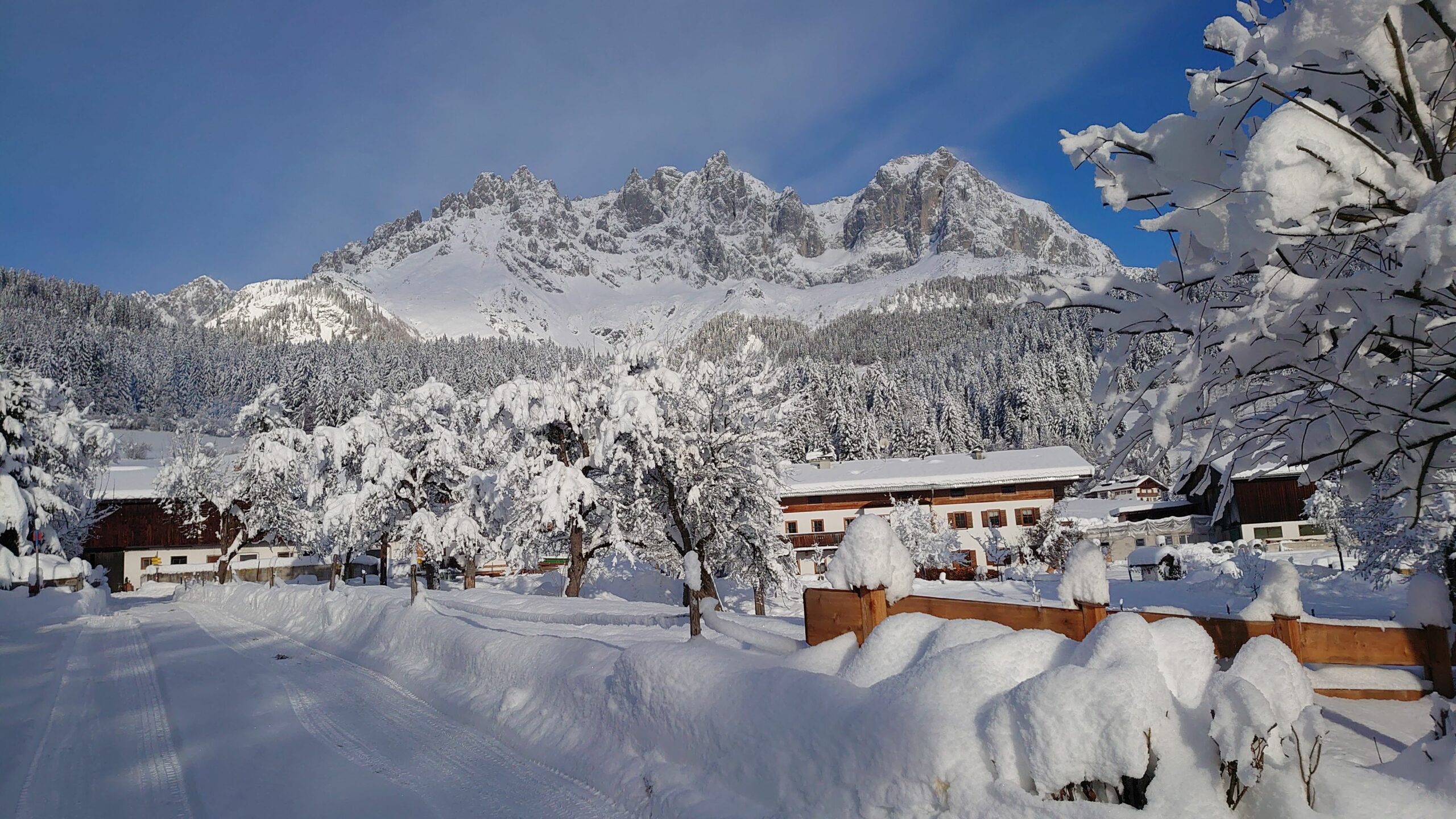 Foto Blick auf den Wilden Kaiser von den Parkplätzen aus (© Susanne Martin)
