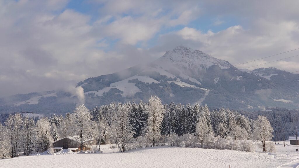 Blick auf das Kitzbühler Horn (© Susanne Martin)